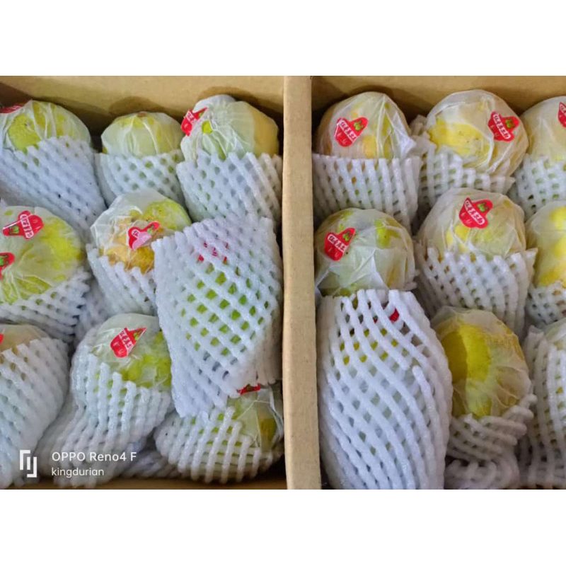 

Pear Xianglie 1kg