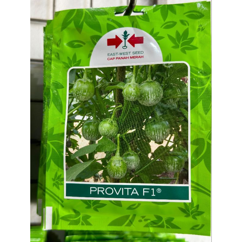 BENIH BIBIT TERONG LALAP PROVITA F1 400BTR 1.100BTR