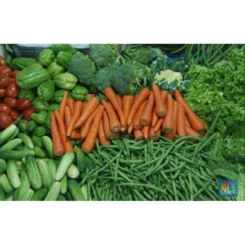 

Sayuran-Sayuran Segar Sayuran Sehat Sayuran Fresh