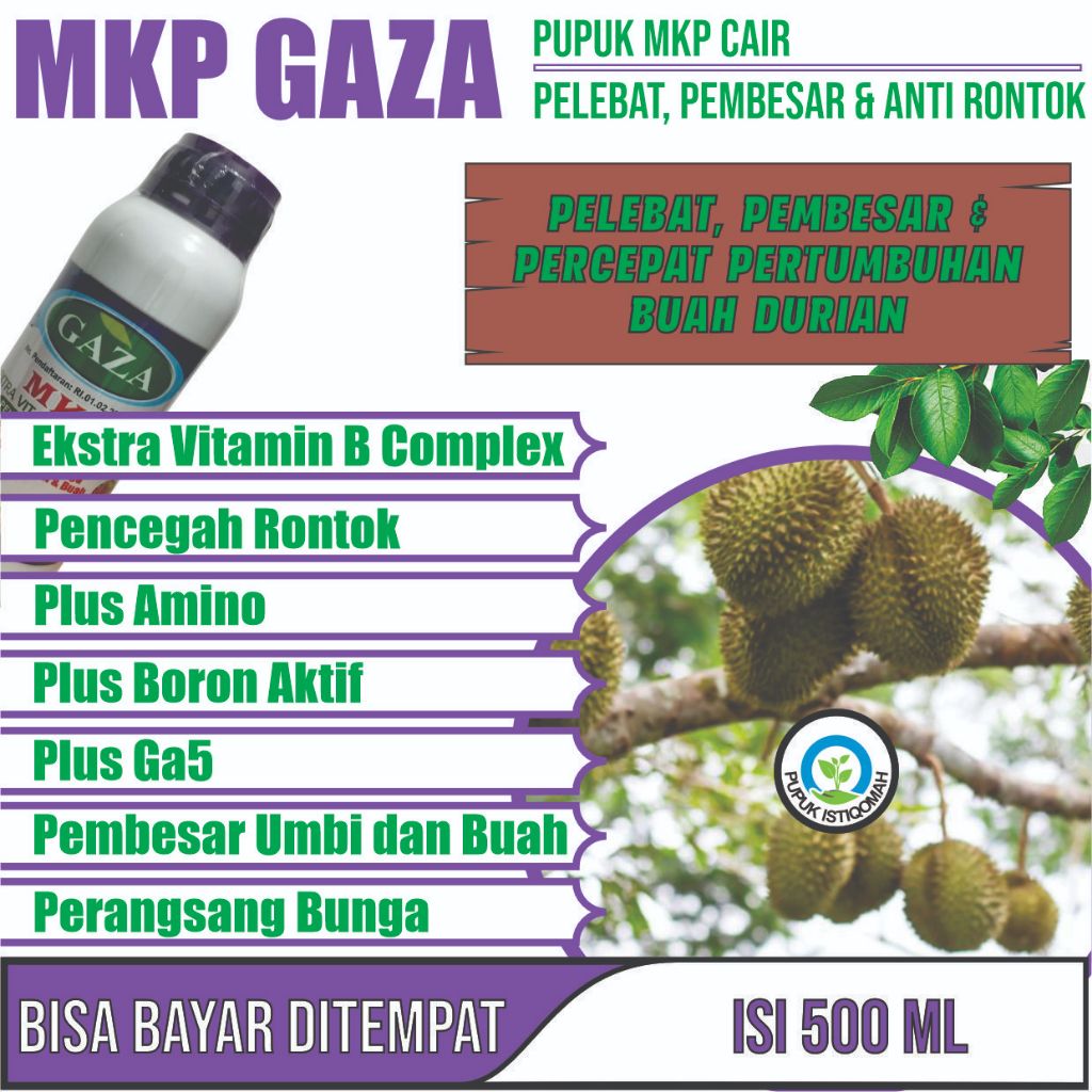 PUPUK MKP CAIR BUAH DURIAN BIAR BERBUAH BANYAK MKP CAIR GAZA Pupuk Buah Durian Paling Bagus Melebatk