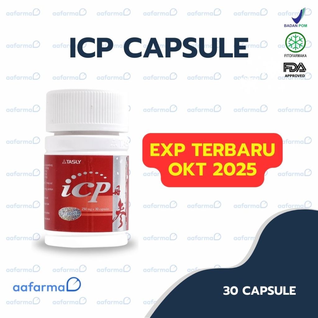 ICP CAPSULE TASLY ORIGINAL OBAT HERBAL JANTUNG STROKE HIPERTENSI