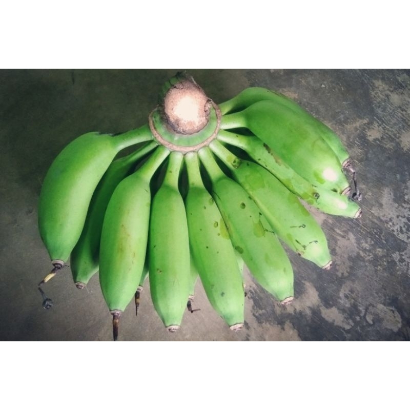 

pisang jantan 1 sisir