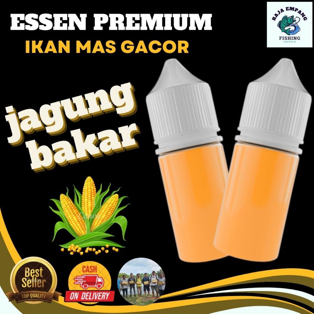 Essen Ikan Mas Aroma Jagung Bakar Viral 2024 Rame Dan Indukan Lele Gabus