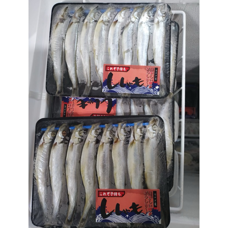 

Ikan Shisamo Ikan Capellin Ikan Cipung Ikan Isi Telur