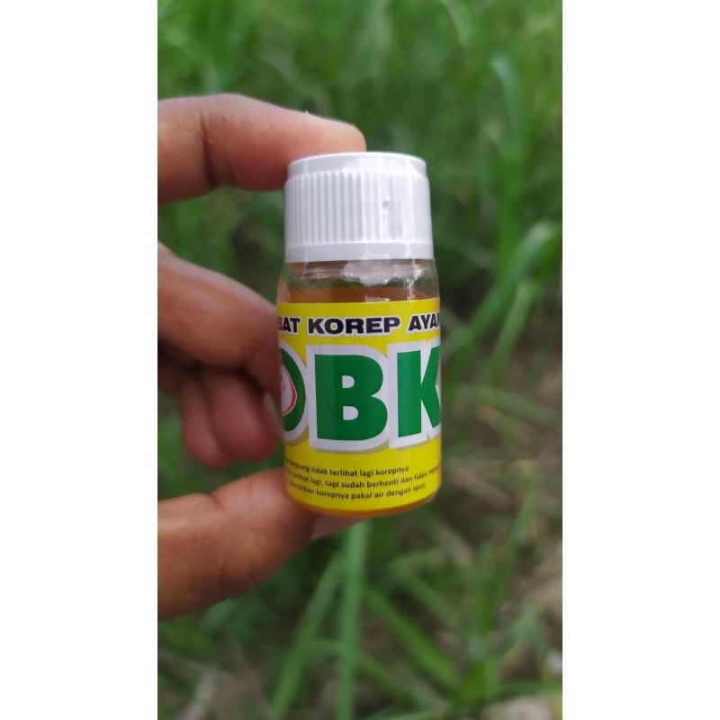obat korep ayam ampuh OBK