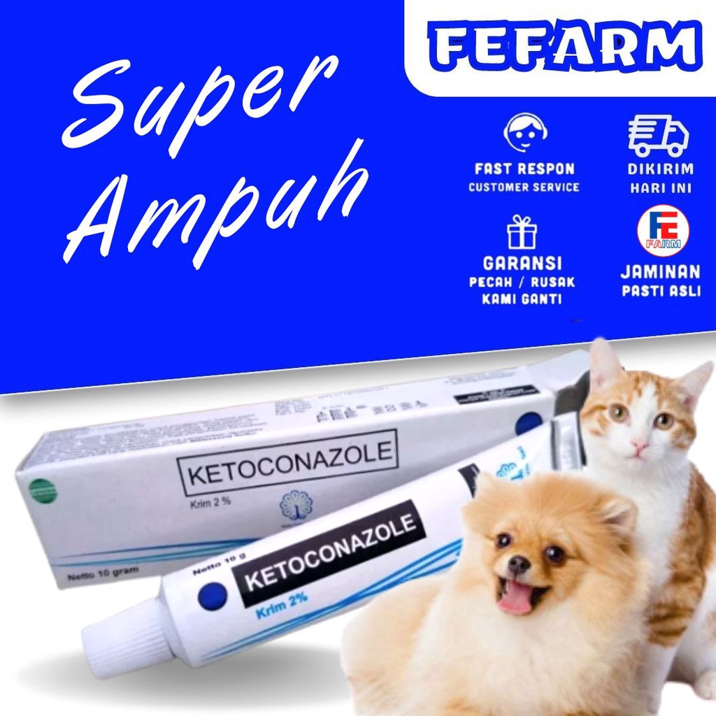 HARGA GROSIR Obat Jamur Kucing  Salep Jamur Kucing Anjing Ketoconazole Obat Luka Jamur Kucing FEFARM
