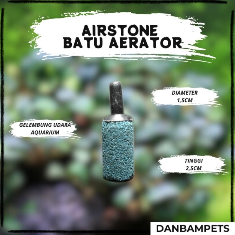 Batu aerator gelembung udara aquarium / Airstone gelembung udara aerator aquarium