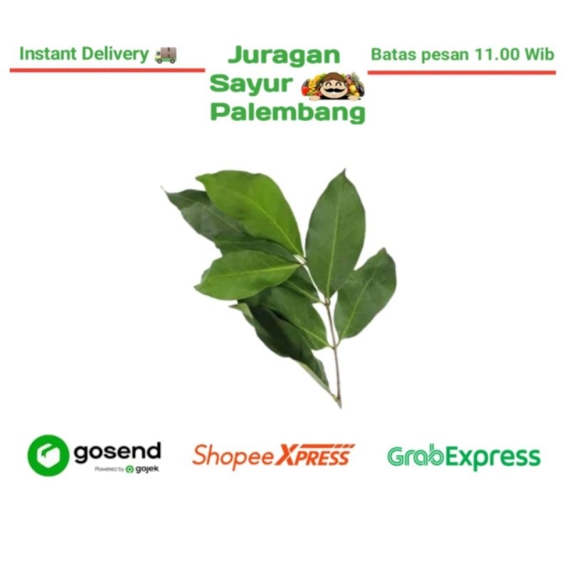 

Daun Salam - Juragan Sayur Palembang