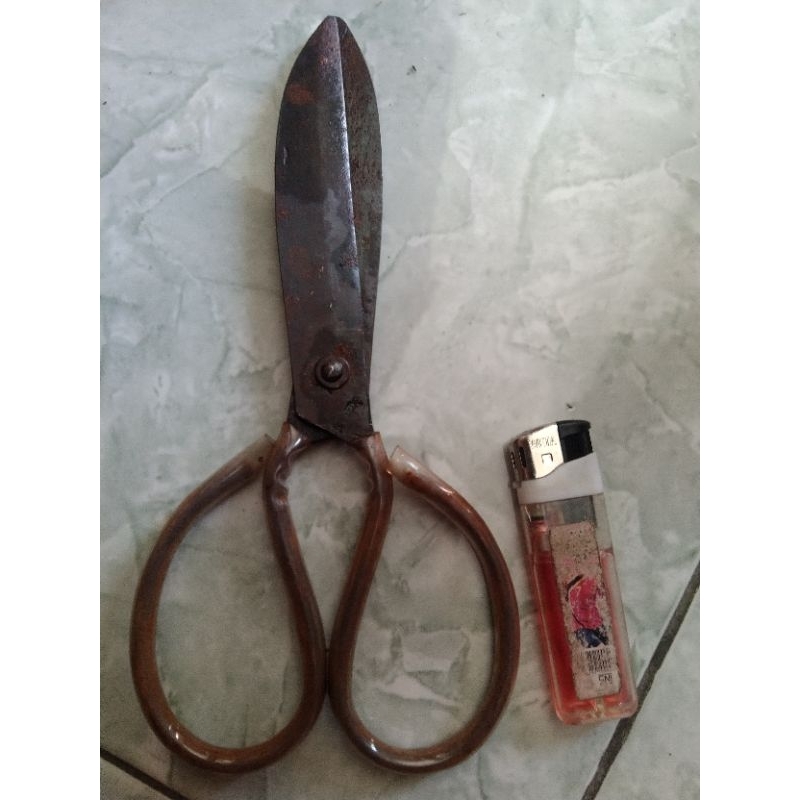 

gunting kodok tajem banget