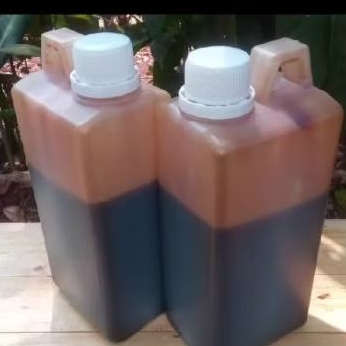 

Madu Hitam Pahit Propolis 1kg