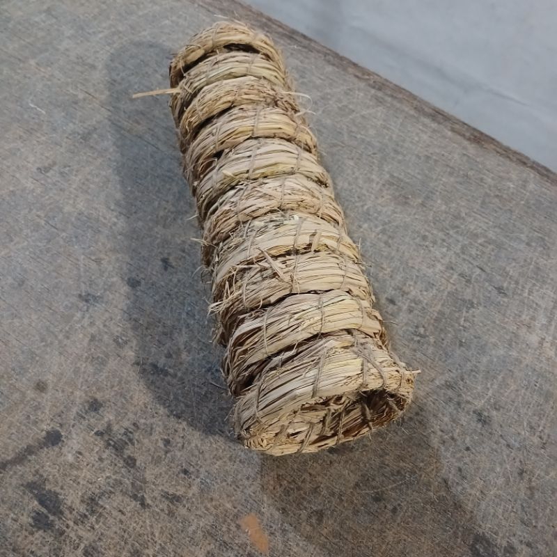 SARANG KENARI ,SARANG BURUNG KENARI