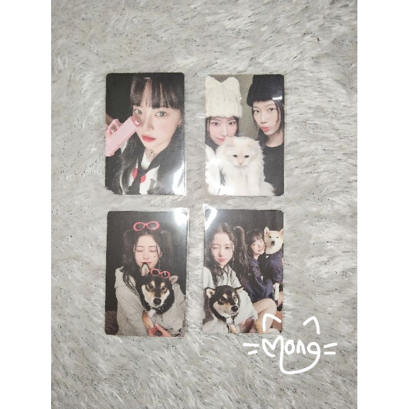 LESSERAFIM PHOTOCARD PC EUNCHAE PISTOL SAKURA KAZUHA YUNJIN UNFORGIVEN