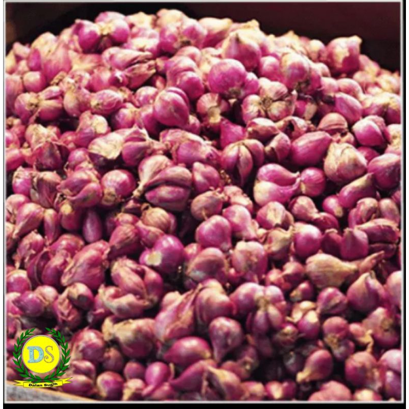 

Bawang Merah Super 500 gr