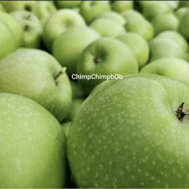 

APEL GRANNY SMITH SEGAR