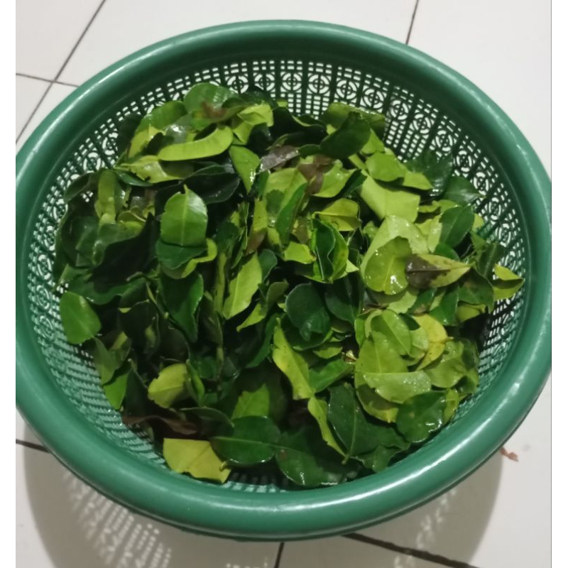 

Untuk Jualan Keriipik Basreng Pedas Daun jeruk (ecer 2rb an)