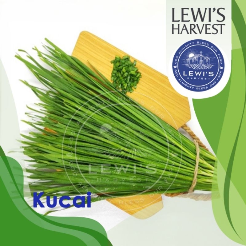 

KUCAI CHIVES PREMIUM 100 g