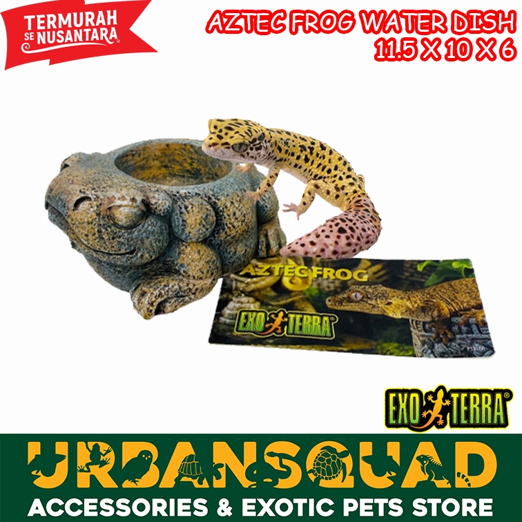 Exoterra Aztec Frog Water Dish Wadah Tempat Air Minum Reptil Feeding Kadal