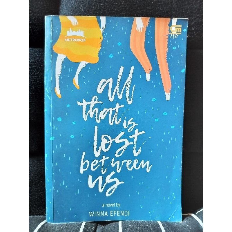 Preloved novel All That is Lost Between Us