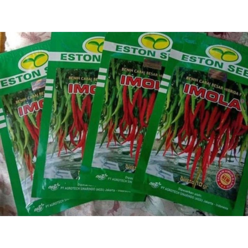 bibit cabai imola new