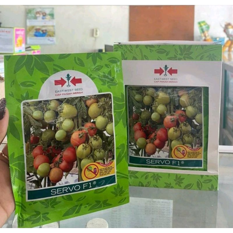 bibit tomat servo F1