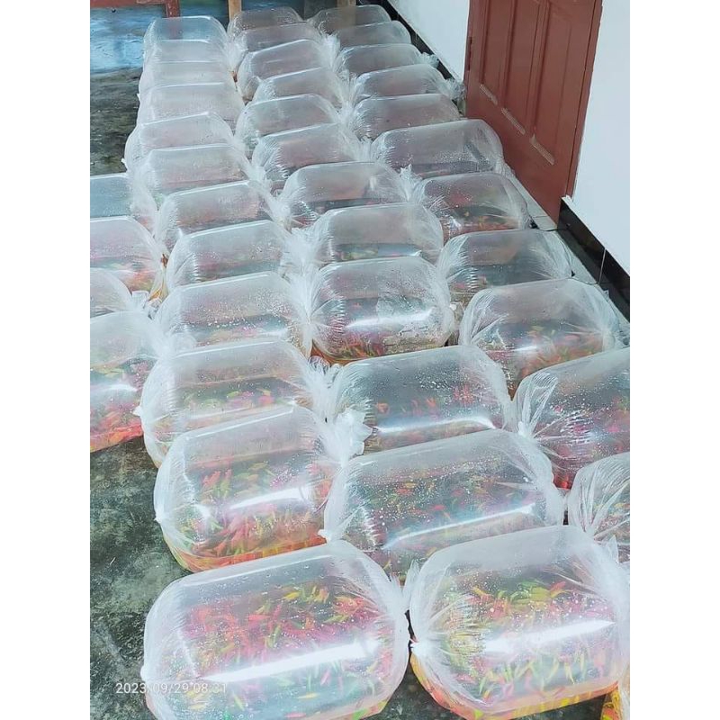 plastik packing ikan