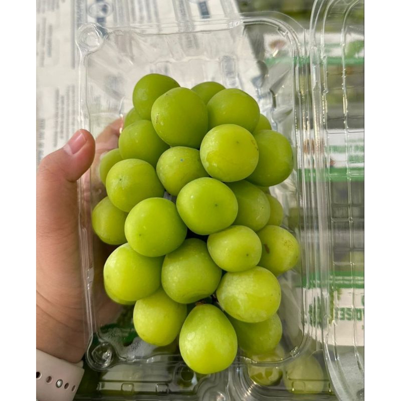

Anggur muscat