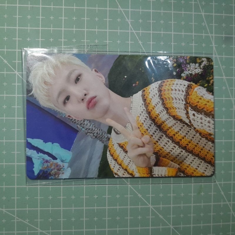 pc hoshi seventeen sector 17