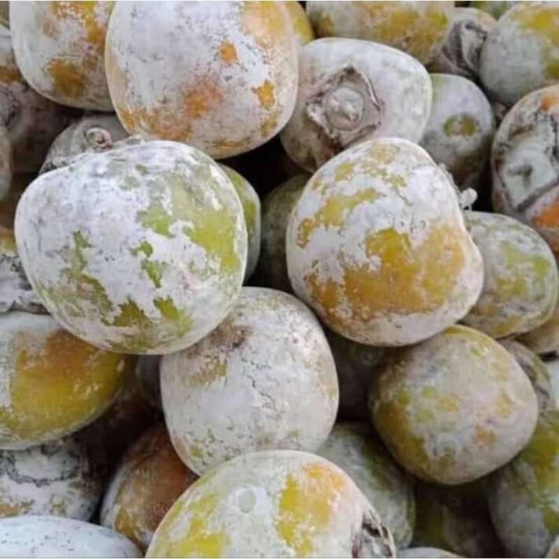 

Buah kesemek segar 1 kg buah kaki buah langka buah musiman