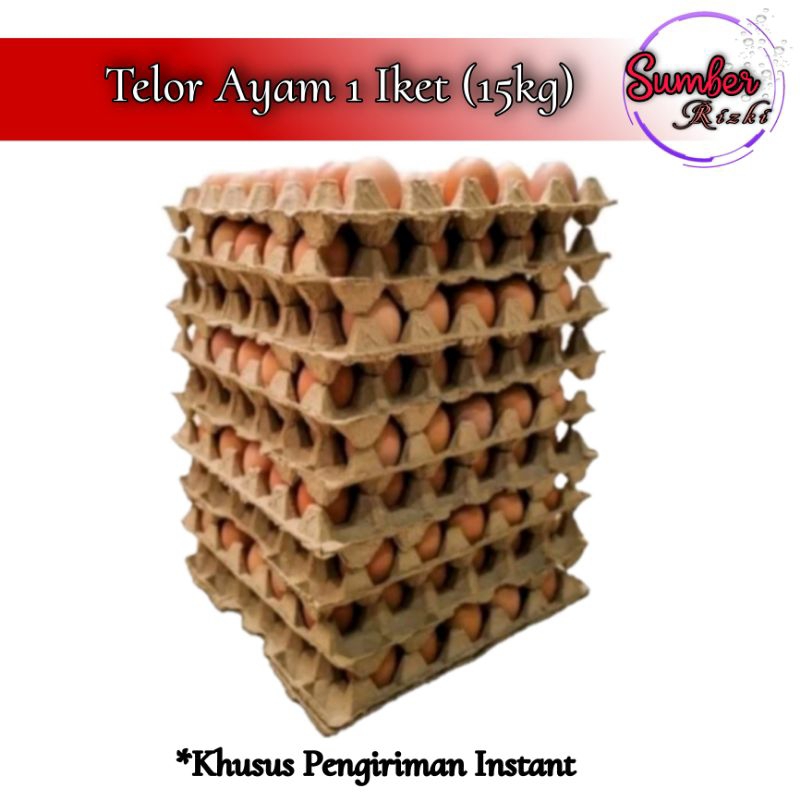 

Telor Ayam Negeri 1 Iket (15 kg)