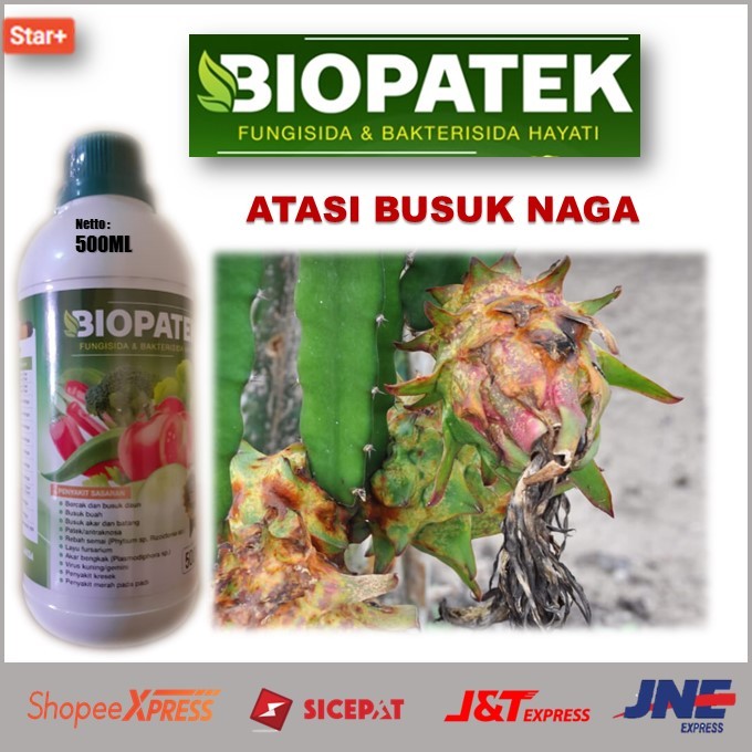 Harga Promo Pupuk Atasi Busuk Buah Jeruk Terbukti Secara Ampuh – Pupuk Cair Biopatek Fungisida & Bak