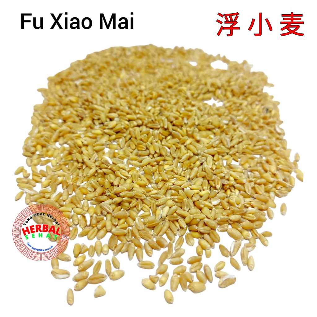 

100 Gram Fu Xiao Mai 浮小麦 Fructus Levis Tritici Aestivi