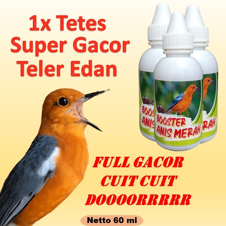 Anis Merah Cepat Gacor 60ml Vitamin Burung Anis Merah Cepat Gacor Teler Edan