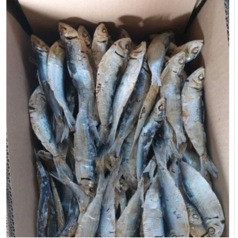 

IKAN ASIN REBUS TANJAN