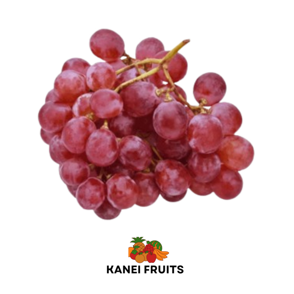 

ANGGUR RED IMPORT 1 KG ++