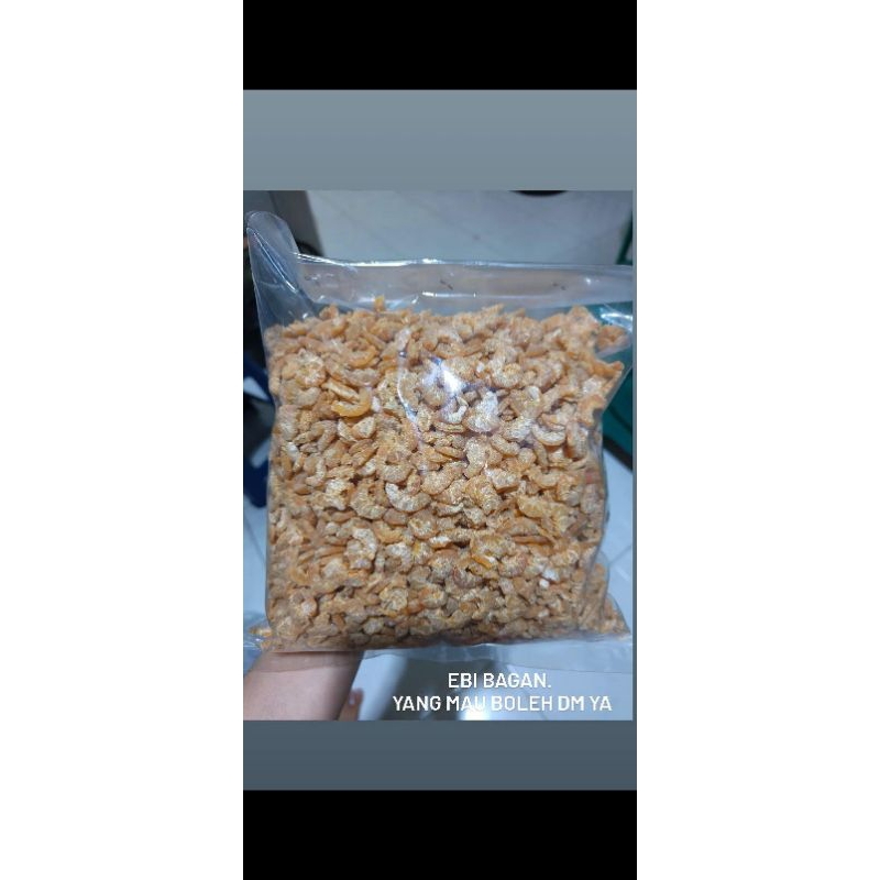 

Ebi bagan