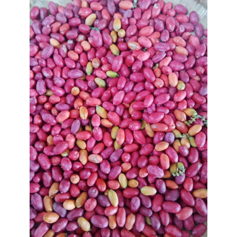

sayur kulit mlinjo segar 500g