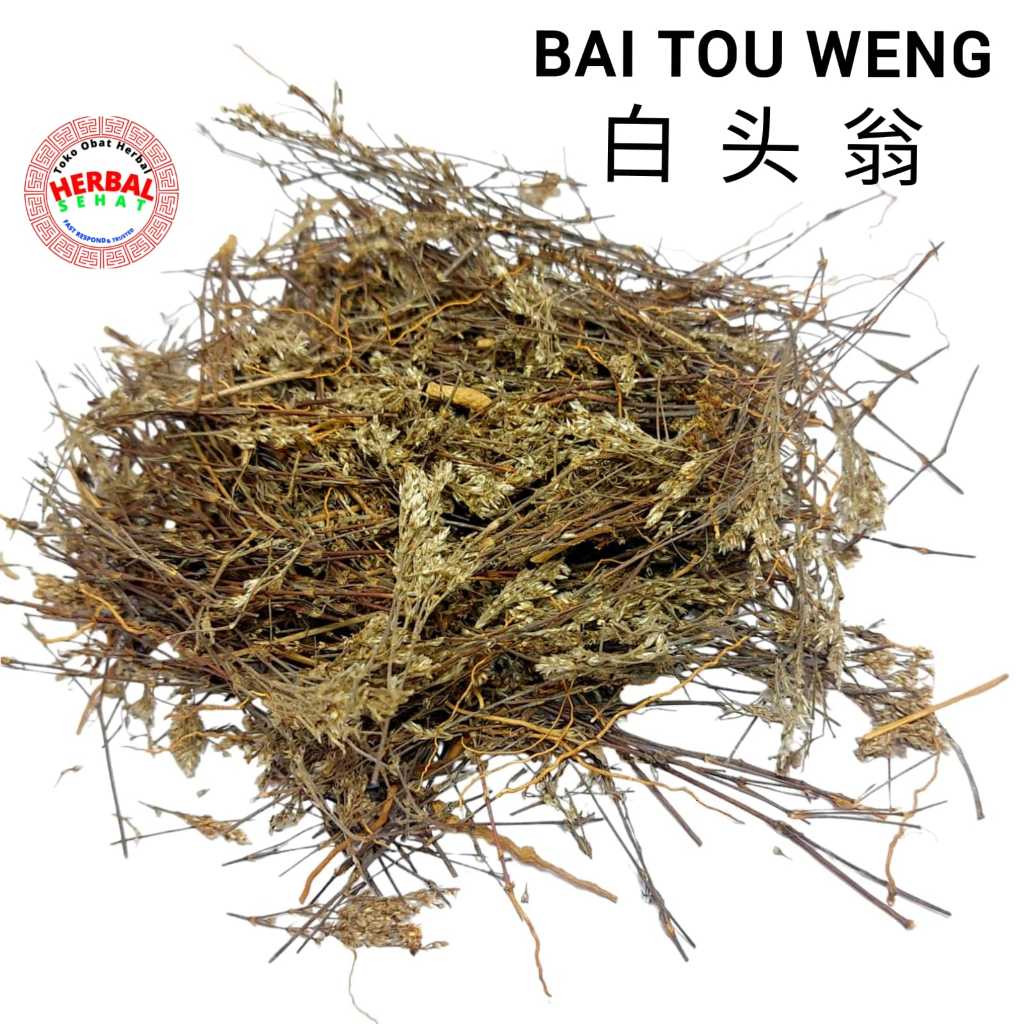 

Bai Tou Weng 600 Gram Pulsatilla Chinensis Herbal