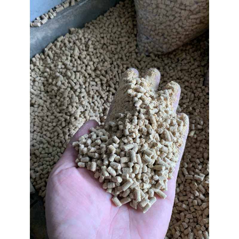 PUR BABI 551 PAKAN PENGGEMUK