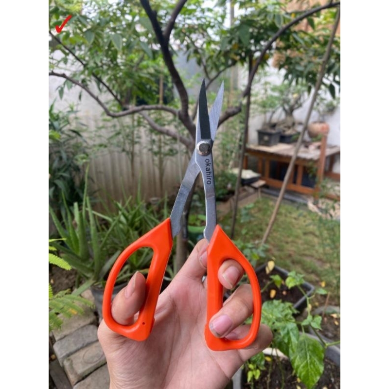 Gunting Prunning Jepang Okahiro Gunting Bonsai Stainless 21 Cm Alat Bonsai