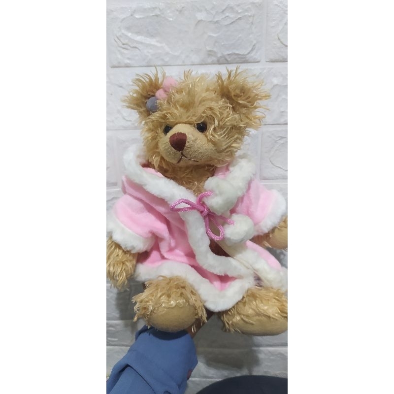 pelunasan settler bear