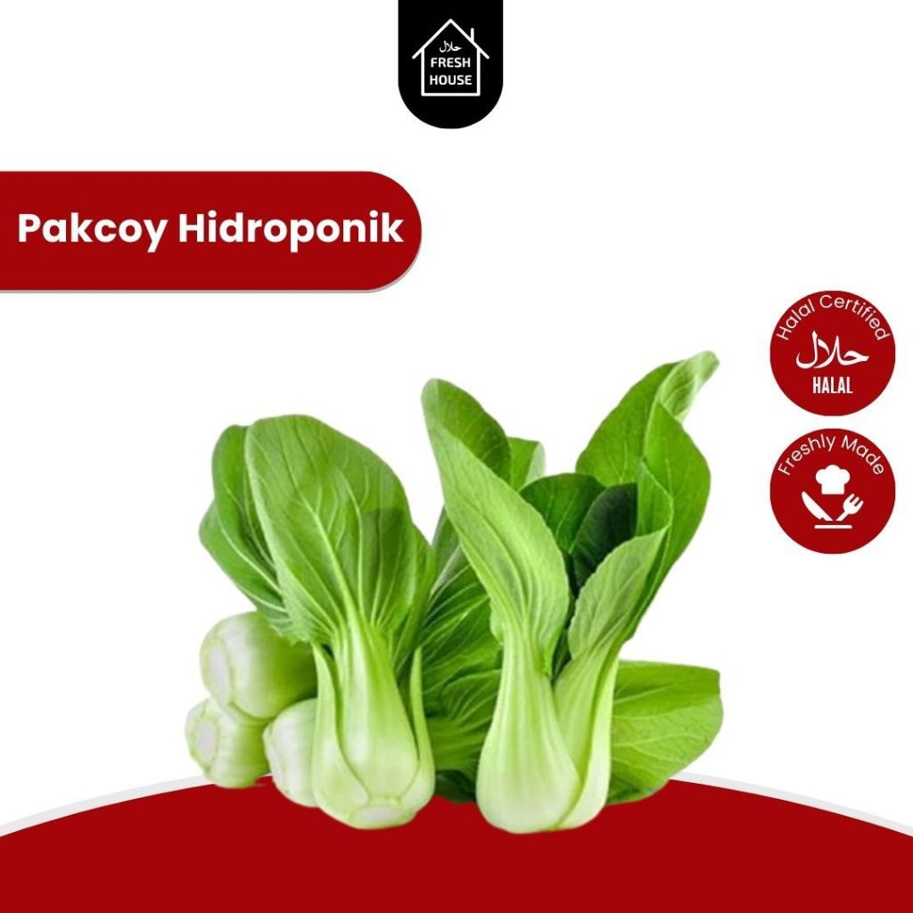 

PAKCOY HIDROPONIK / SAYURAN PAGI