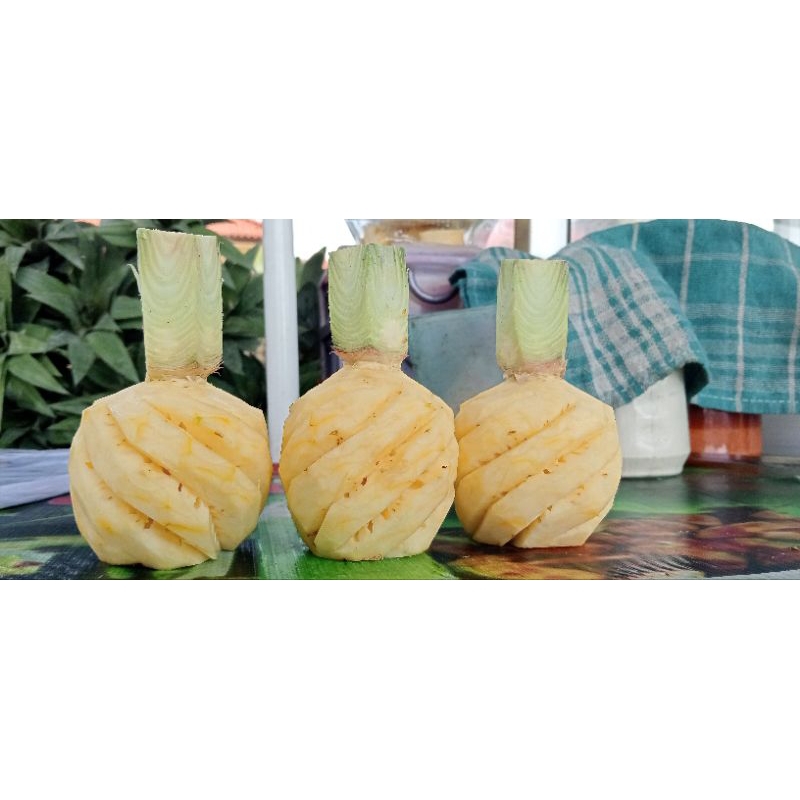 

1BuahNanasMaduPemalang//1Buahnanas