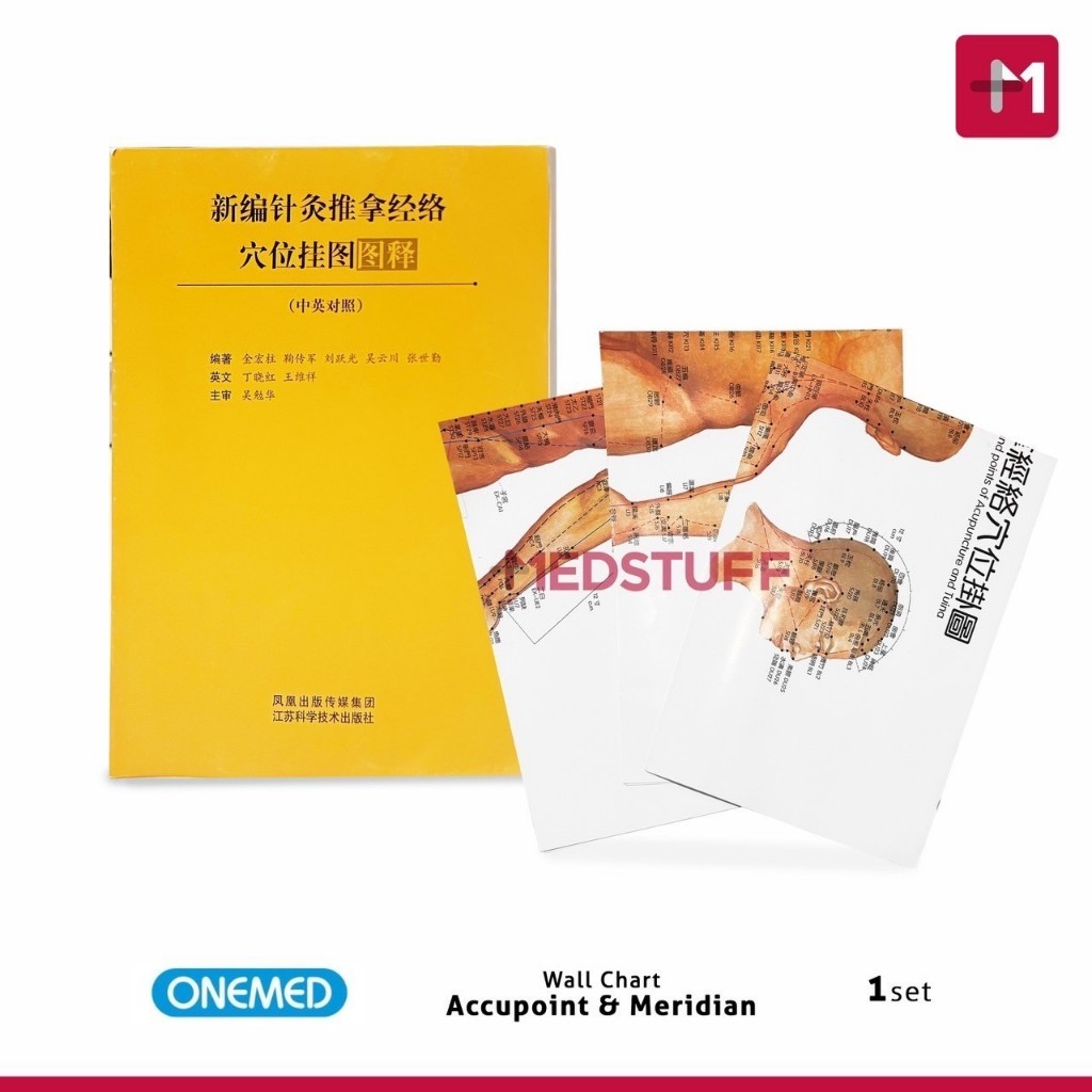 Wall Chart Accupoint and Meridian Gambar Titik Akupuntur Poster Akupuntur