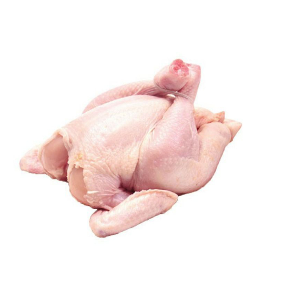 

Ayam Utuh Ayam Broiler Halal Ayam Frozen Sembako Murah Cikarang