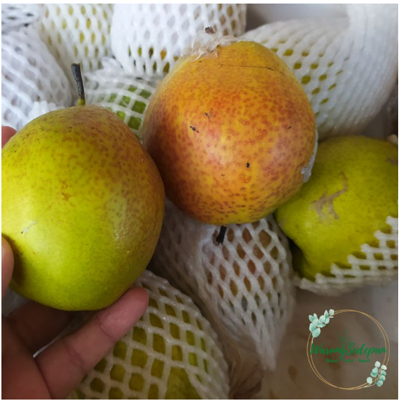 

Buah Pir Xianglie 1 kg Pir Madu Buah Segar Cikarang