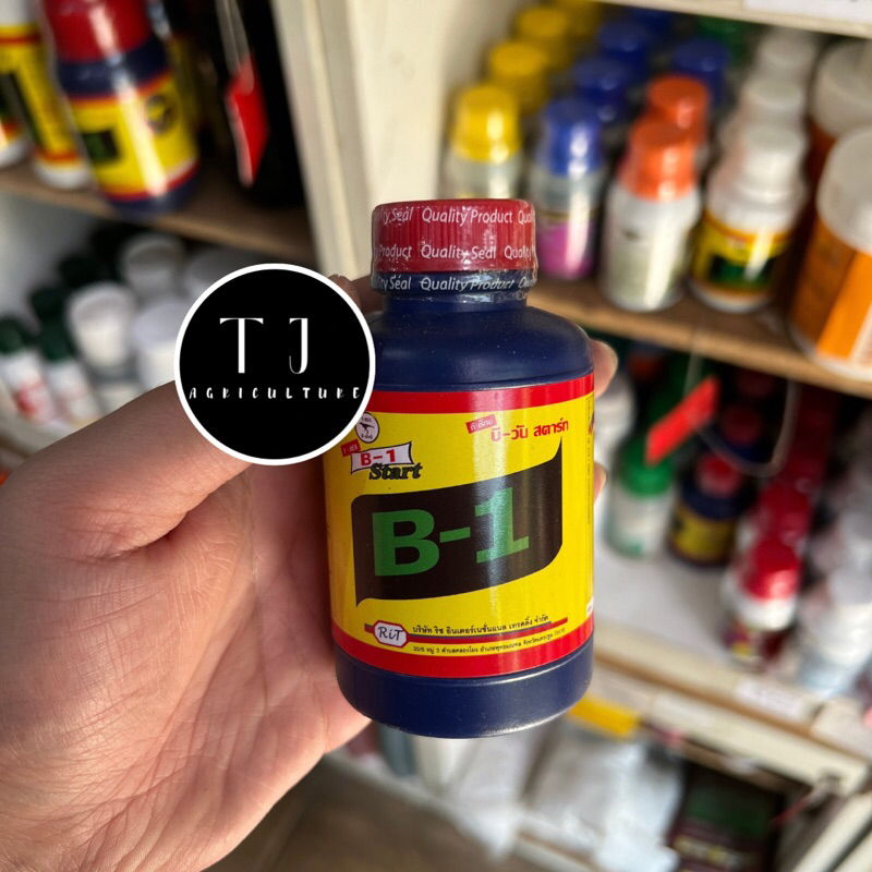 B1 Thailand 100ml Original