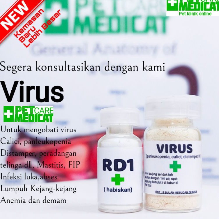 Obat virus kucing ampuh Obat virus calici kucing Obat virus panleukopenia Obat virus kucing terbaik 
