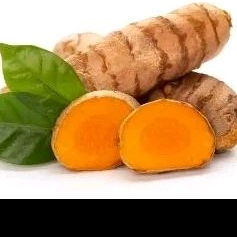 

kunyit fresh per ons