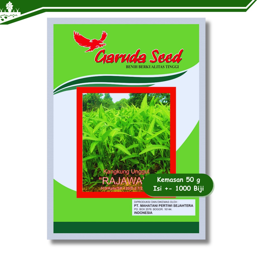 Benih kangkung unggul rajawali garuda seed 50 gram Kangkung darat hidroponik air