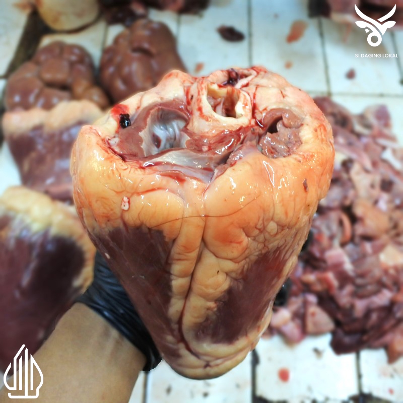 

Jantung sapi lokal - 1 kg